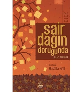 Şair Dağın Doruğunda 2013