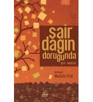 Şair Dağın Doruğunda 2013