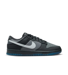 Dunk Low Erkek Sneaker Ayakkabı FV0384-001