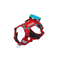 INTERLAKEN Köpek HARNESS Kosum Takimi Hafif Küçük ve Büyük Köpekler Uzanma Önleyici Gögüs Tasmasi KIRMIZI&TURKUAZ M BEDEN