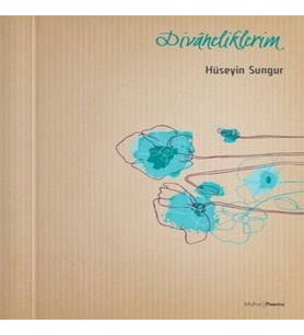 Divaneliklerim
