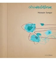 Divaneliklerim