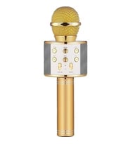 Winex UsbA+TF Sd Kart+3.5mm Aux Girişli Bluetooth Karaoke Mikrofonu Gold
