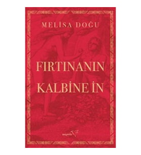Fırtınanın Kalbine İn