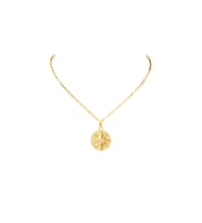 Çelik Gold Taşlı Pusula Kolye