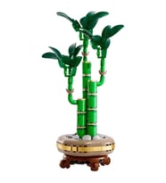 Botanicals Şans Bambusu 10344