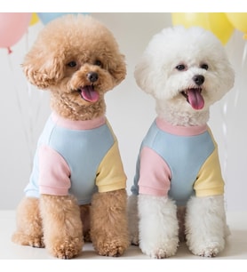 Bubbles Pastel Köpek Tişörtü  Cepli Şeker Renkli Yazlık Köpek Kıyafeti  Küçük Irklar İçin