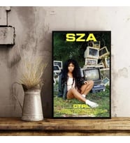Sza & ctrl albüm kapağı Duvar Dekor Sanat Baskı posterler-Çerçevesiz