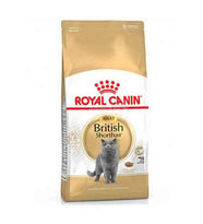 Royal Canin British Shorthair Kedi Maması 2 KG (HEDİYELİ)