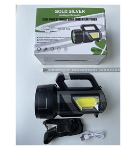 GOLD SILVER GS-3900 10W