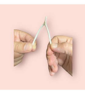 Nostaljik Lades Oyuncağı ( Plastik Lades Kemiği )