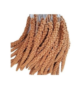 Kızıl Dal Darı 1 kg