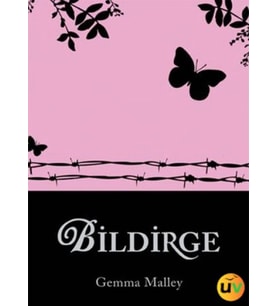 Bildirge