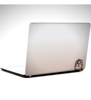 Kedi ve Yengeç Laptop Sticker 10 İnch (25X19CM)