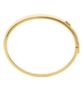 Michael Kors MKJ8540-710 Kadın Bileklik