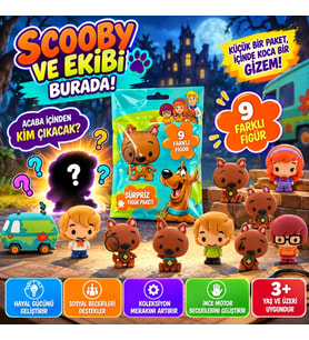 Cool Things Scooby Doo Buddies 3D Sürpriz Figür Paketi