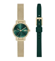 DKNY NY6631SET Kadın Kol Saati ve Yedek Kordon