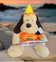 Oturan Happy Birthday Köpek (Krem)