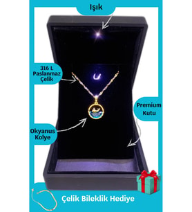 Işıklı Premium Kutuda  Yunus Balığı Çelik Kolye  316l Çelik - Kararmaz  Hediye Paketi (Gold)
