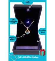 Işıklı Premium Kutuda  Yunus Balığı Çelik Kolye  316l Çelik - Kararmaz  Hediye Paketi (Gold)