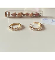 İpekish Gold Renk Zirkon Taşlı Yarım Tur Paslanmaz Çelik Halka Küpe (Gold 2)
