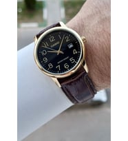 Casio CSISTE211 Erkek Kol Saati
