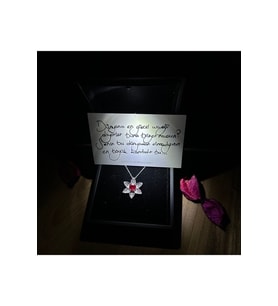 KALPLİ LOTUS ÇİÇEĞİ KOLYE & IŞIKLI KOLYE KUTUSU 925 Ayar Gümüş Kolye