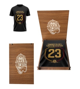 Galatasaray Lisanslı 2023 Şampiyonluk Çocuk T-Shirt Aslan Ahşap Kutulu (Siyah)