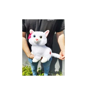 Sevimli Tatlı Peluş Kedi Büyük Boy (Çok Renkli)