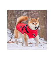 Mountaineer II Polarlı Köpek Kıyafeti