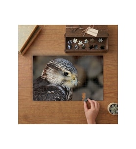 Şahin Portresi - Yırtıcı Kuş Tasarımı 240 parça Ahşap Puzzle Ahşap Kutuda MP05258