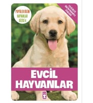 Evcil Hayvanlar