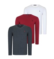 ÜÇLÜ SET T8587 DEWBERRY V YAKA ERKEK SWEATSHIRT-BEYAZ-ANTRASİT-BORDO