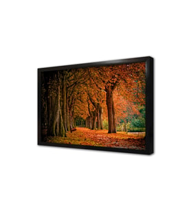 Park Çerçeveli Cam Tablo