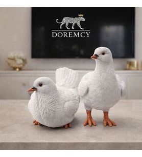 Doremcy Dekoratif Güvercin Biblo 2’li Set Polyester Kuş Obje Balkon Bahçe Salon Ev Dekorasyonu Hediyelik (Beyaz)