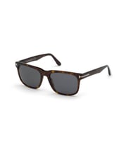 FT 0775/S Stephenson 52A 56 Tom Ford Güneş Gözlüğü