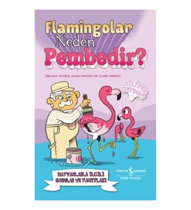 Flamingolar Neden Pembedir? Hayvanlarla İlgili Sorular ve Yanıtları