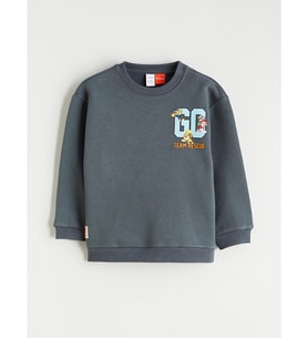 LCW Kids Gri Paw Patrol Baskılı Erkek Çocuk Kalın Sweatshirt