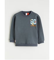 LCW Kids Gri Paw Patrol Baskılı Erkek Çocuk Kalın Sweatshirt