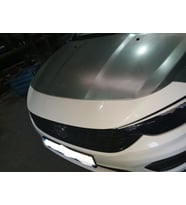 Fiat Egea Sw 21 Motor Kaputu (İ·celi·/çekomasti·kli·) (Eagle Body) 