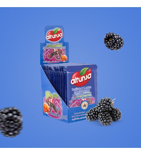 Altunsa Toz İçecek Dut 9 Gr x 24 Adet