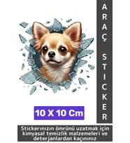 Özel Tasarım Araç Dış Modifiye Eğlenceli Yaratıcı Şık 3D Evcil Hayvan Kedi Köpek Sticker 10 X 10 Cm