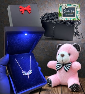 Işıklı Kutuda 925 Ayar Gümüş Kolye Peluş Anahtarlık Hediyeli Siyah Hediye Kutusunda (Model 4)