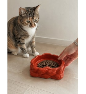Eko Form Model Beton Kedi Köpek Mama ve Su Kabı (16cm*16cm*5.5cm) - Kiremit
