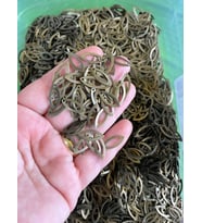 1 CM 10 GR DELİKLİ FÜME ÇELİK TAKI OYA YAZMA GİYİM PUL BONCUK