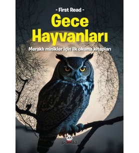 Gece Hayvanları