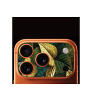 iPhone 17 Pro Max Tam Kaplayan Kamera Çerçeve Koruyucu Desenli Baskılı - ORMAN KOKUSU