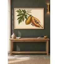 Kesilmiş Papaya Bıçaklı Botanik Çizim Ahşap Çerçeveli Duvar Tablosu