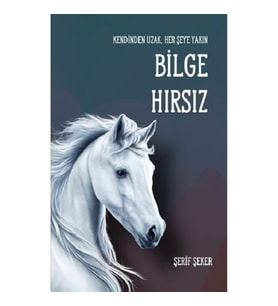 Bilge Hırsız