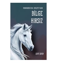 Bilge Hırsız